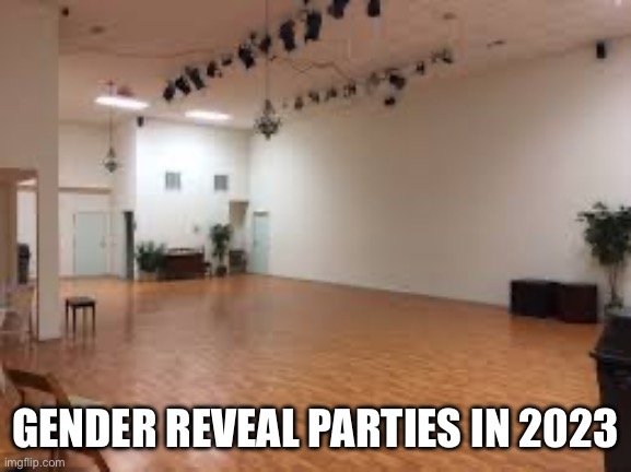 Cause yknow… | GENDER REVEAL PARTIES IN 2023 | image tagged in gender,true,2023,empty,party | made w/ Imgflip meme maker