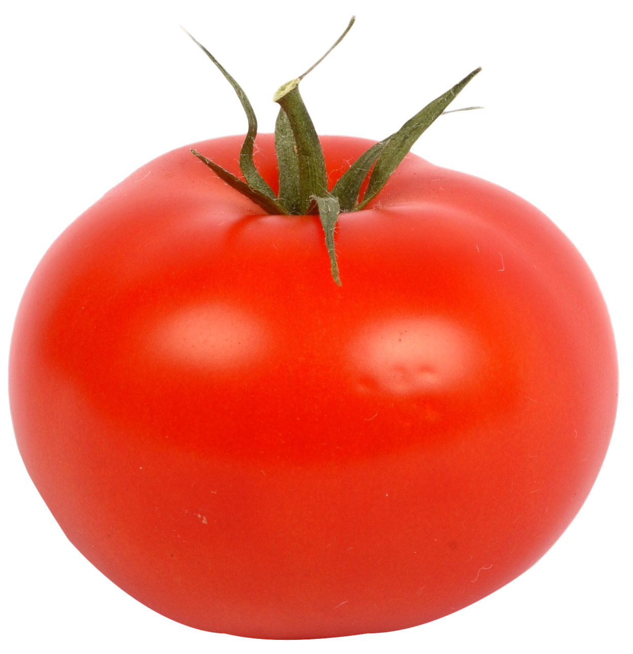 Картинка овощей по отдельности. Томато помидоро. Помидор на белом фоне. Томат на белом фоне. Овощи помидор.