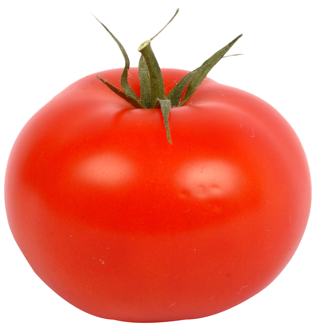 High Quality TOMATO? Blank Meme Template