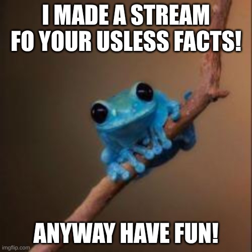 Im sure people go usless facts at some point and want them to tell someone so now ya do | I MADE A STREAM FO YOUR USLESS FACTS! ANYWAY HAVE FUN! | image tagged in fun fact frog | made w/ Imgflip meme maker