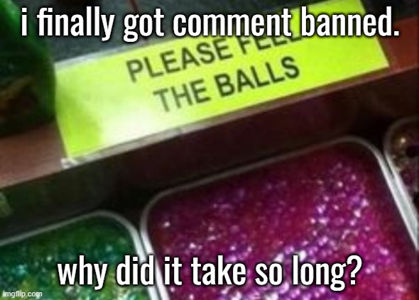 PLEASE FEEL THE BALLS | i finally got comment banned. why did it take so long? | image tagged in please feel the balls | made w/ Imgflip meme maker