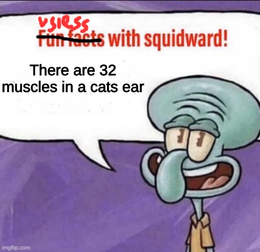 FIRST (lol) | There are 32 muscles in a cats ear | image tagged in fun facts with squidward | made w/ Imgflip meme maker