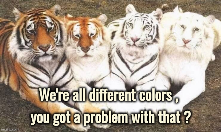 We're all different colors , you got a problem with that ? | made w/ Imgflip meme maker