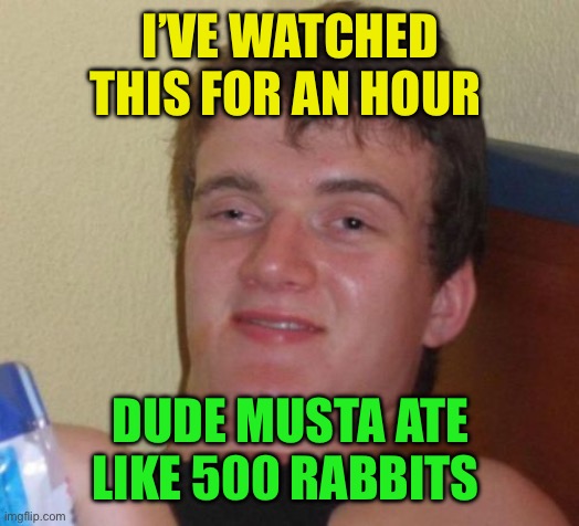 10 Guy Meme | I’VE WATCHED THIS FOR AN HOUR DUDE MUSTA ATE LIKE 500 RABBITS | image tagged in memes,10 guy | made w/ Imgflip meme maker