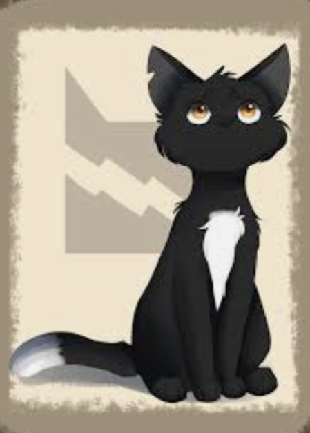 Ravenpaw Blank Meme Template