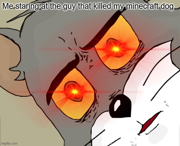 WHYYYYYYYYYYYYYYYYYYYYYYYY | Me staring at the guy that killed my minecraft dog | image tagged in gaming | made w/ Imgflip meme maker