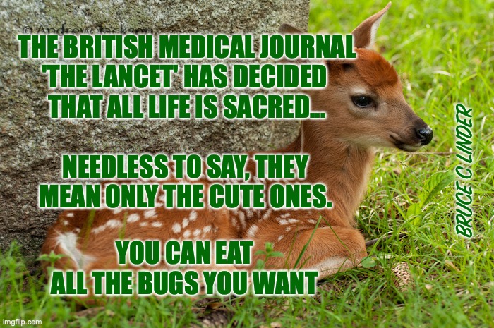 All Cute Animals Matter | THE BRITISH MEDICAL JOURNAL
'THE LANCET' HAS DECIDED 
THAT ALL LIFE IS SACRED... NEEDLESS TO SAY, THEY MEAN ONLY THE CUTE ONES. BRUCE C LINDER; YOU CAN EAT ALL THE BUGS YOU WANT | image tagged in fawny,bugs,peta,lancet | made w/ Imgflip meme maker
