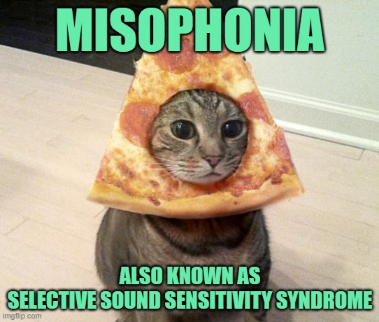 pizza cat | MISOPHONIA ALSO KNOWN AS
SELECTIVE SOUND SENSITIVITY SYNDROME | image tagged in pizza cat | made w/ Imgflip meme maker