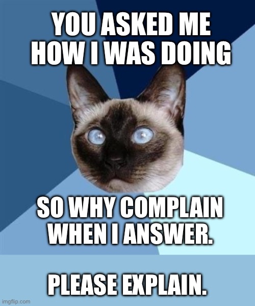 You asked me how I was doing. So why complain when I answer. Please explain. | YOU ASKED ME HOW I WAS DOING; SO WHY COMPLAIN WHEN I ANSWER. PLEASE EXPLAIN. | image tagged in chronic illness cat,spoonie,chronic illness,mental illness,chronic pain,you can't explain that | made w/ Imgflip meme maker