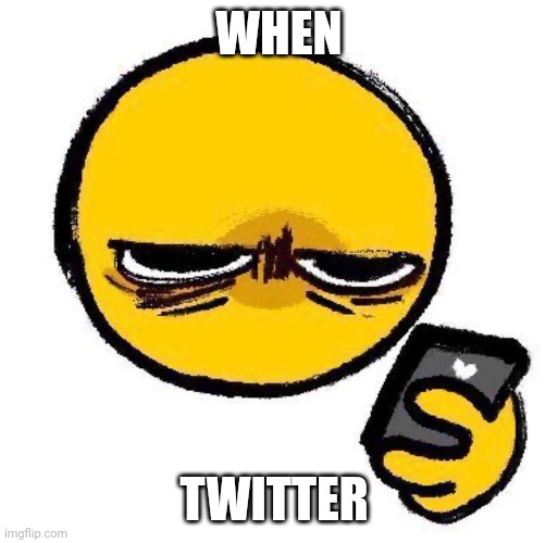 When Twitter | WHEN; TWITTER | image tagged in twitter,funny,internet,memes | made w/ Imgflip meme maker