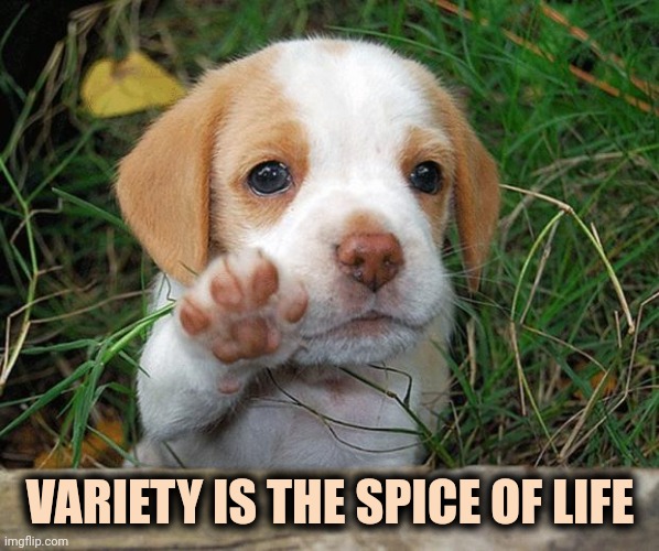 dog puppy bye | VARIETY IS THE SPICE OF LIFE | image tagged in dog puppy bye | made w/ Imgflip meme maker