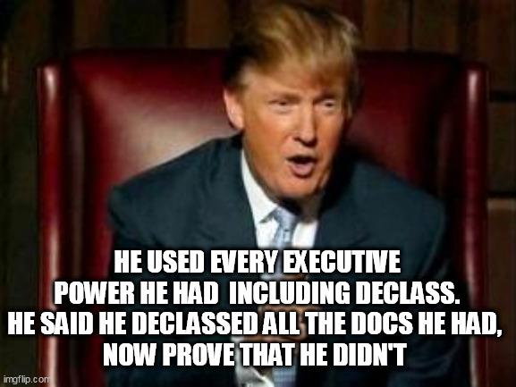 Donald Trump | HE USED EVERY EXECUTIVE POWER HE HAD  INCLUDING DECLASS. HE SAID HE DECLASSED ALL THE DOCS HE HAD, 
NOW PROVE THAT HE DIDN'T | image tagged in donald trump | made w/ Imgflip meme maker