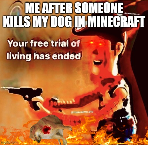 Your free trial of living has ended | ME AFTER SOMEONE KILLS MY DOG IN MINECRAFT | image tagged in your free trial of living has ended | made w/ Imgflip meme maker