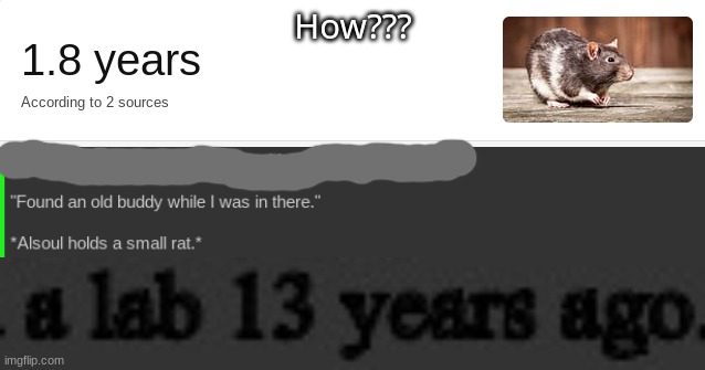 (The rat was exactly from that same lab.) | How??? | made w/ Imgflip meme maker