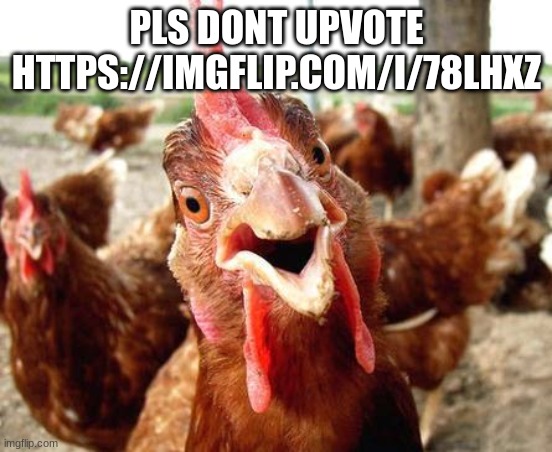 Chicken | PLS DONT UPVOTE HTTPS://IMGFLIP.COM/I/78LHXZ | image tagged in chicken | made w/ Imgflip meme maker