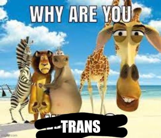 TRANS | made w/ Imgflip meme maker