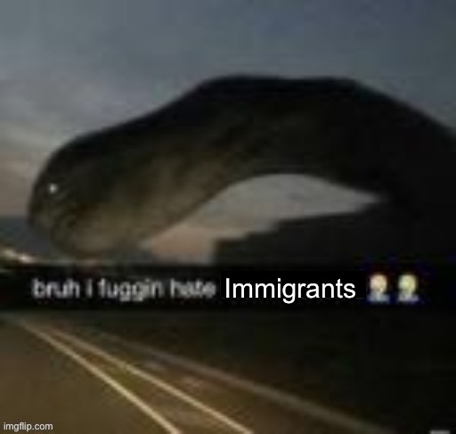 Politics stream | Immigrants | made w/ Imgflip meme maker