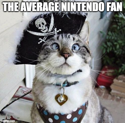 The Average Nintendo Fan | THE AVERAGE NINTENDO FAN | image tagged in memes,spangles,nintendo,video games,funny,piracy | made w/ Imgflip meme maker