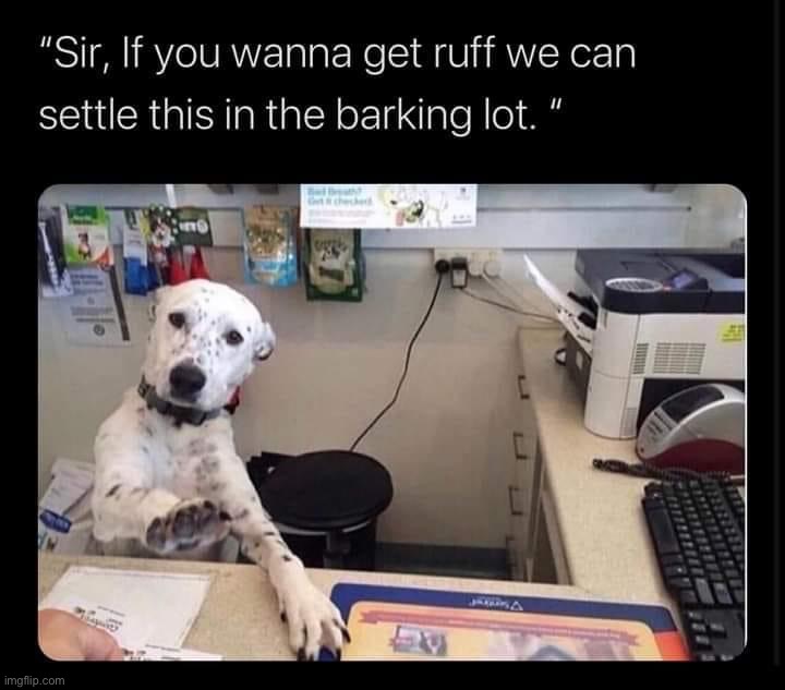 Barking lot | image tagged in barking lot | made w/ Imgflip meme maker
