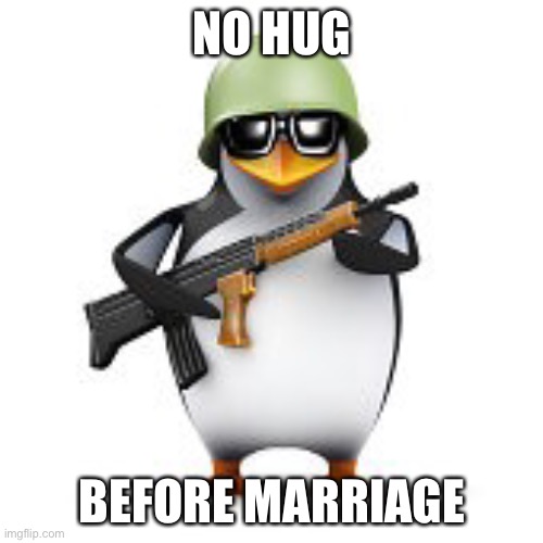 no anime penguin | NO HUG BEFORE MARRIAGE | image tagged in no anime penguin | made w/ Imgflip meme maker