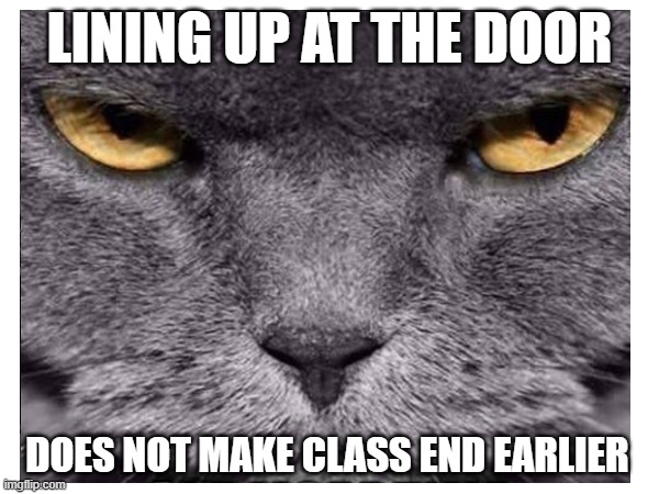 Lining Up Early | LINING UP AT THE DOOR; DOES NOT MAKE CLASS END EARLIER | image tagged in classroom,cat,rules | made w/ Imgflip meme maker