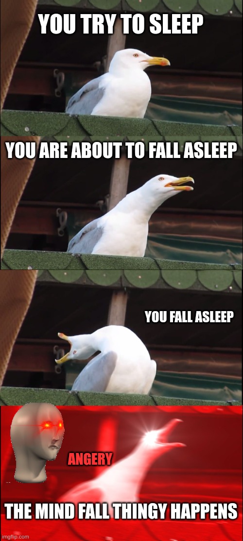 WHY DOES THIS HAPPEN | YOU TRY TO SLEEP; YOU ARE ABOUT TO FALL ASLEEP; YOU FALL ASLEEP; ANGERY; THE MIND FALL THINGY HAPPENS | image tagged in memes,inhaling seagull | made w/ Imgflip meme maker