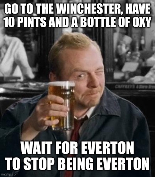 simon pegg | GO TO THE WINCHESTER, HAVE 10 PINTS AND A BOTTLE OF OXY; WAIT FOR EVERTON TO STOP BEING EVERTON | image tagged in simon pegg,Everton | made w/ Imgflip meme maker