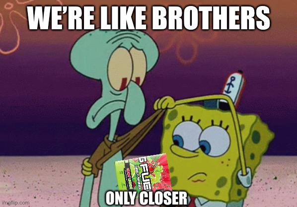 WE’RE LIKE BROTHERS; ONLY CLOSER | made w/ Imgflip meme maker