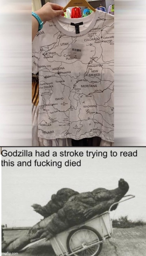 THEY MUST'VE BEEN SMOKIN CRACK WHEN THEY MADE IT | image tagged in godzilla,fail,stupid people,you had one job | made w/ Imgflip meme maker