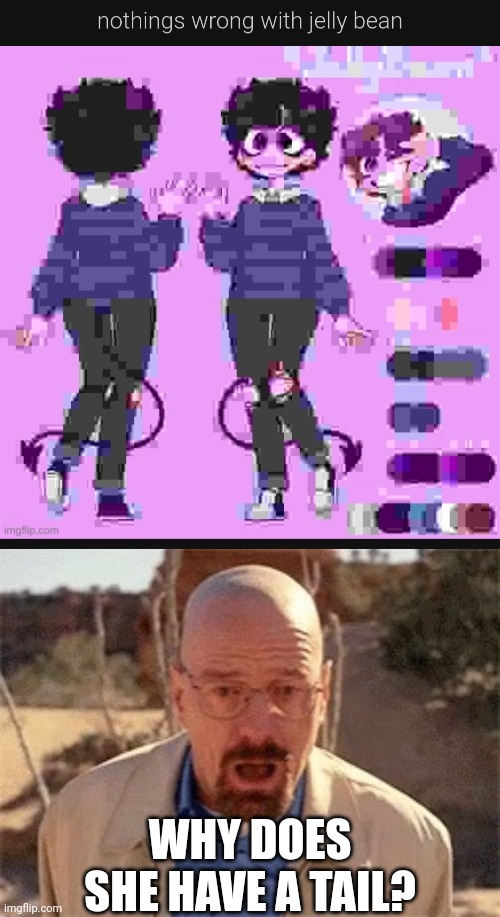 I thought she never had one | WHY DOES SHE HAVE A TAIL? | image tagged in walter white | made w/ Imgflip meme maker