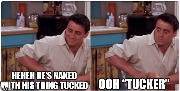 Joey from Friends | HEHEH HE’S NAKED WITH HIS THING TUCKED OOH “TUCKER” | image tagged in joey from friends | made w/ Imgflip meme maker