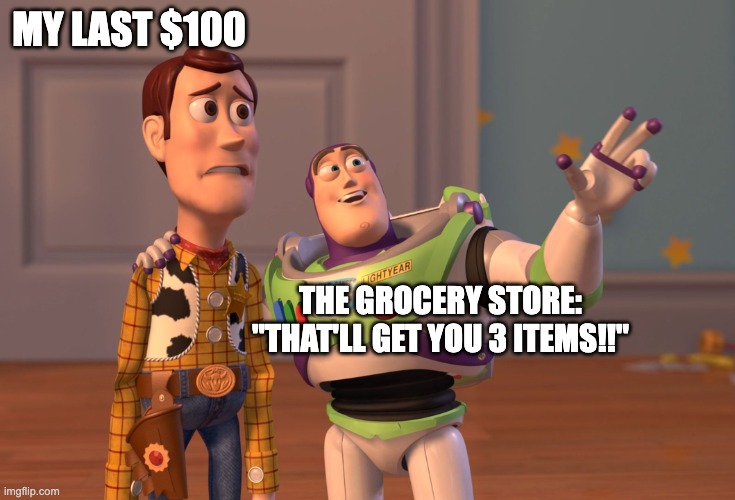 Grocery Stores be like | MY LAST $100; THE GROCERY STORE: "THAT'LL GET YOU 3 ITEMS!!" | image tagged in memes,x x everywhere | made w/ Imgflip meme maker