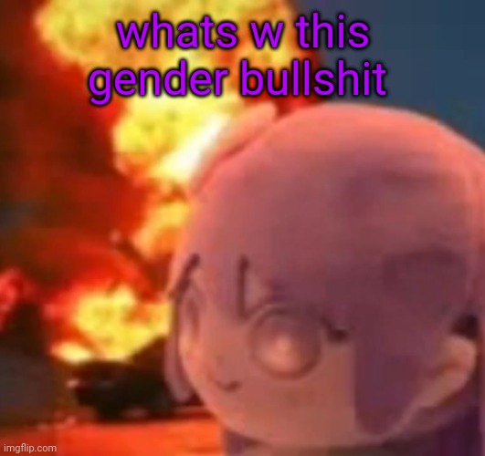 msmg | whats w this gender bullshit | image tagged in msmg | made w/ Imgflip meme maker