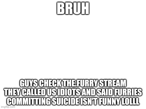 BRUH; GUYS CHECK THE.FURRY STREAM THEY CALLED US IDIOTS AND SAID FURRIES COMMITTING SUICIDE ISN'T FUNNY LOLLL | made w/ Imgflip meme maker