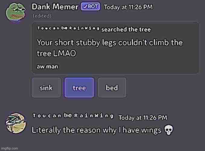 While the msmg community was talking about fatherless LGBBQ stuff, I took a picture of this bug | image tagged in balls,discord | made w/ Imgflip meme maker