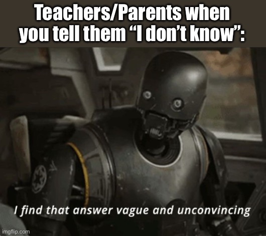 I find that answer vague and unconvincing | Teachers/Parents when you tell them “I don’t know”: | image tagged in i find that answer vague and unconvincing | made w/ Imgflip meme maker