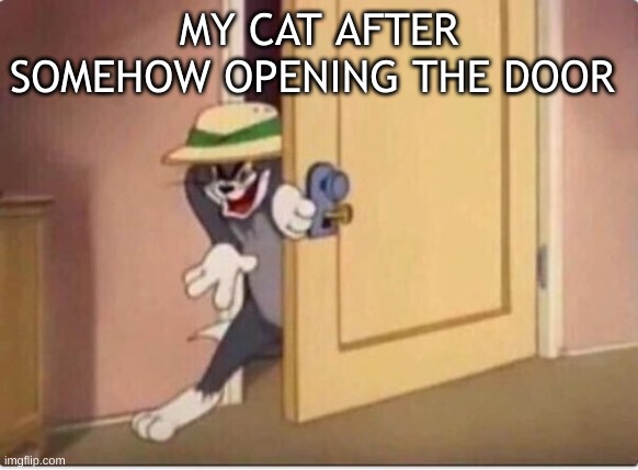 TOM SNEAKING IN A ROOM | MY CAT AFTER SOMEHOW OPENING THE DOOR | image tagged in tom sneaking in a room | made w/ Imgflip meme maker