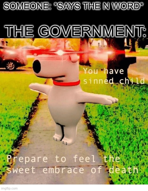 never say the n word | THE GOVERNMENT:; SOMEONE: *SAYS THE N WORD* | image tagged in you have sinned child prepare to feel the sweet embrace of death,funny,memes,oh no,law,government | made w/ Imgflip meme maker
