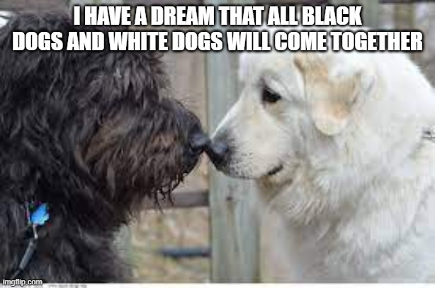 About a week late for this cuz MK day was last week, but here you go | I HAVE A DREAM THAT ALL BLACK DOGS AND WHITE DOGS WILL COME TOGETHER | image tagged in dogs | made w/ Imgflip meme maker