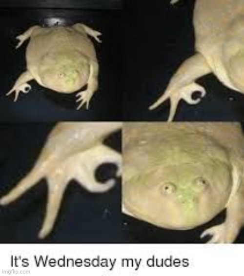 It's Wednesday | image tagged in idk | made w/ Imgflip meme maker