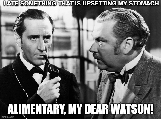 Sherlock & Watson | I ATE SOMETHING THAT IS UPSETTING MY STOMACH; ALIMENTARY, MY DEAR WATSON! | image tagged in sherlock watson | made w/ Imgflip meme maker