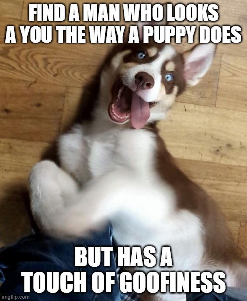 puppy | FIND A MAN WHO LOOKS A YOU THE WAY A PUPPY DOES; BUT HAS A TOUCH OF GOOFINESS | image tagged in puppy | made w/ Imgflip meme maker