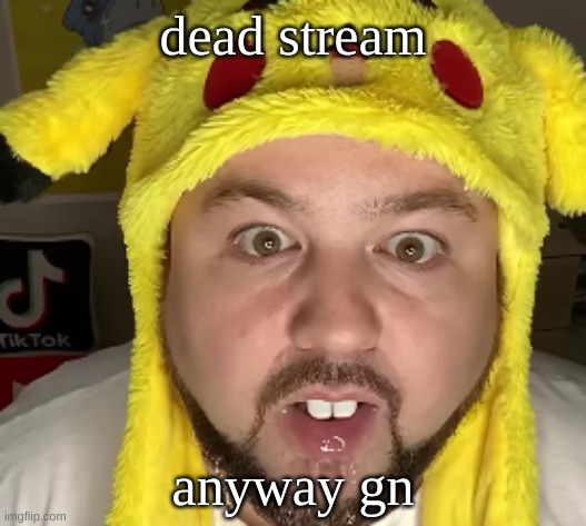 Nerd | dead stream; anyway gn | image tagged in nerd | made w/ Imgflip meme maker