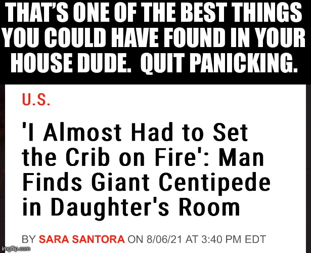 THAT’S ONE OF THE BEST THINGS
YOU COULD HAVE FOUND IN YOUR
HOUSE DUDE.  QUIT PANICKING. | made w/ Imgflip meme maker