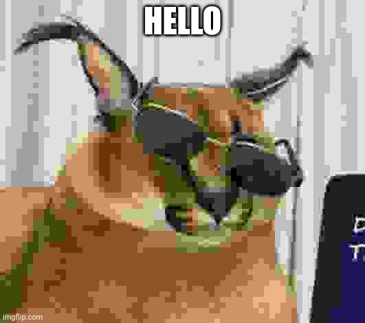 MR FLOPPPPAAA | HELLO | image tagged in mr floppppaaa | made w/ Imgflip meme maker