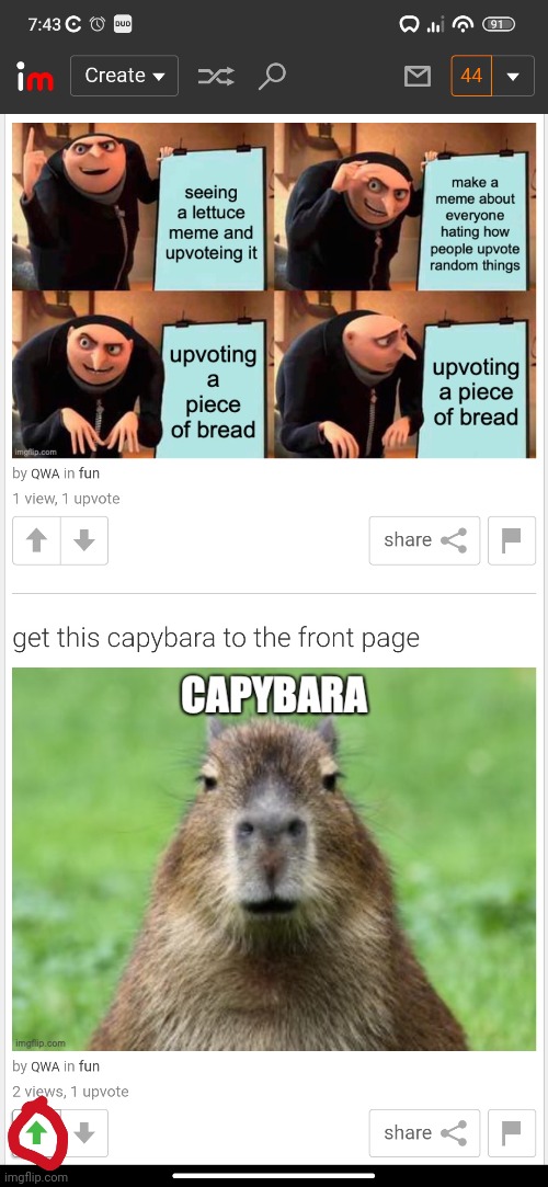 *no title* | image tagged in capybara,gru's plan | made w/ Imgflip meme maker