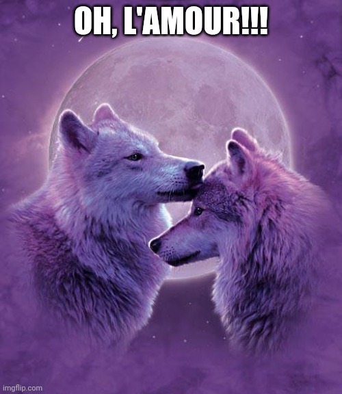 Wolf lovers | OH, L'AMOUR!!! | image tagged in wolf lovers | made w/ Imgflip meme maker