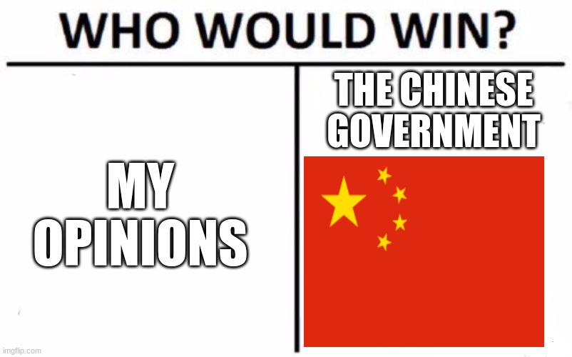 me vs china | THE CHINESE GOVERNMENT; MY OPINIONS | image tagged in memes,who would win | made w/ Imgflip meme maker