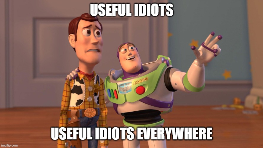 Useful Idiots | USEFUL IDIOTS; USEFUL IDIOTS EVERYWHERE | image tagged in woody and buzz lightyear everywhere widescreen | made w/ Imgflip meme maker
