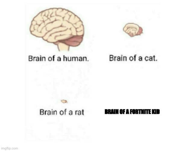brain size comparison | BRAIN OF A FORTNITE KID | image tagged in brain size comparison | made w/ Imgflip meme maker